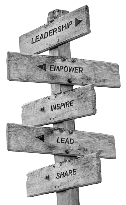 team leaders